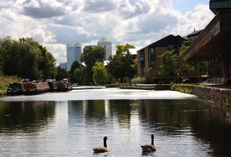 Studere i London ved Queen Mary University